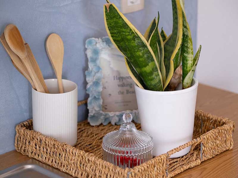 Εξοπλισμός στην κουζίνα του διαμερίσματος